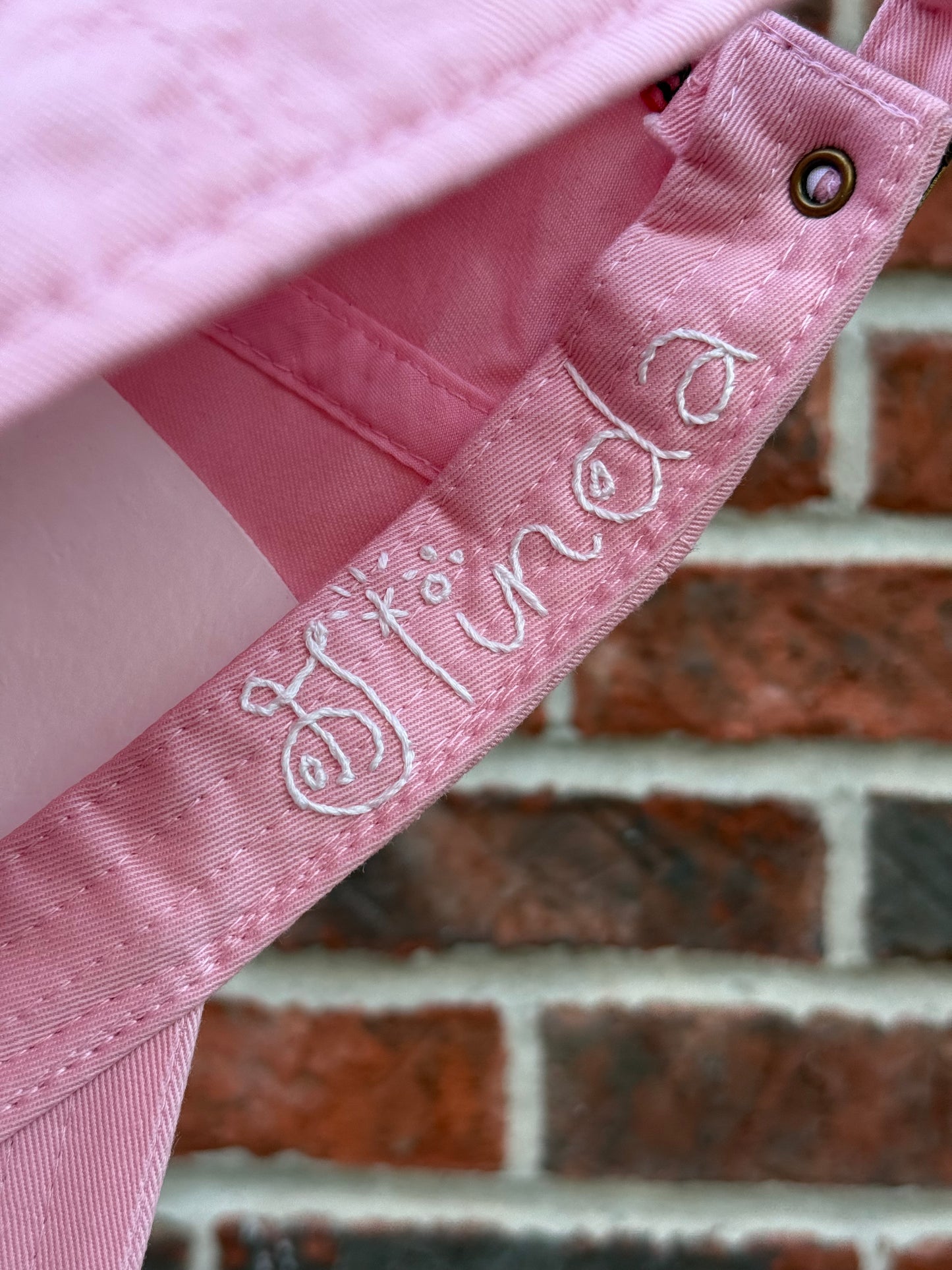 Undercover Ozian: Good Witch Edition