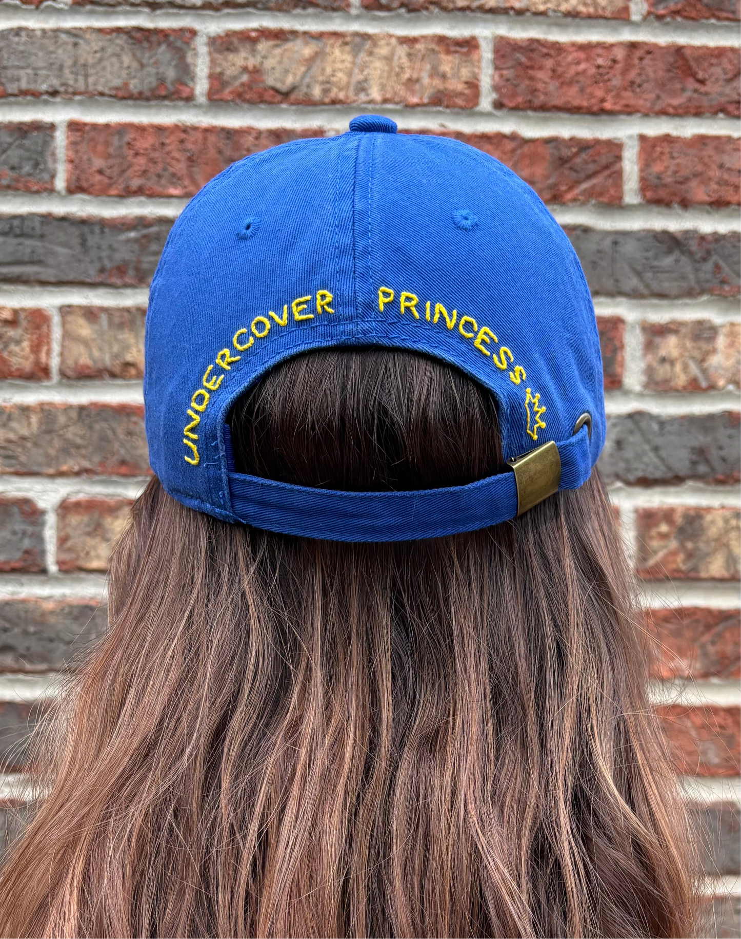 Undercover Princess: Fairest Edition