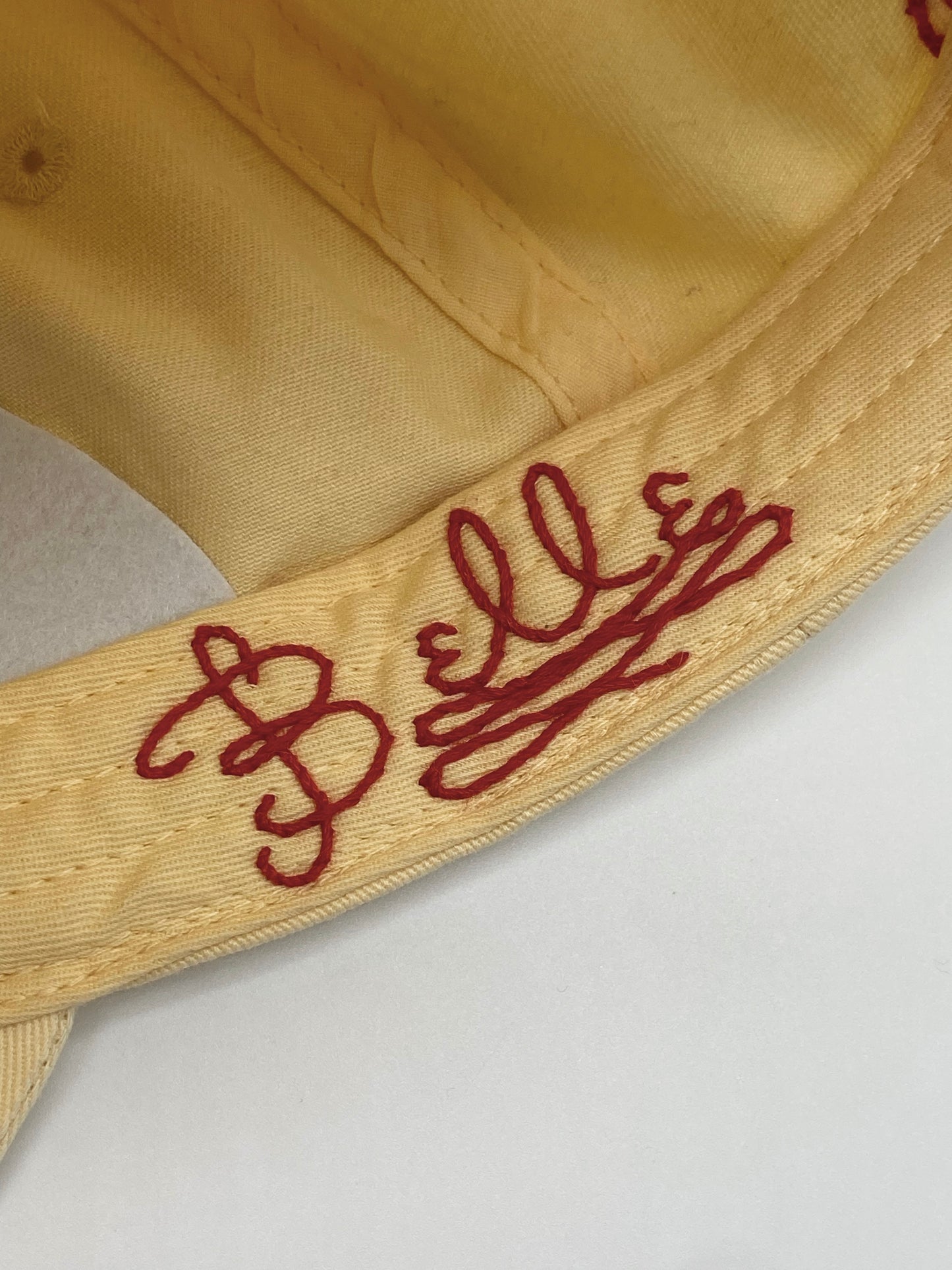 Undercover Princess: Bookworm Edition