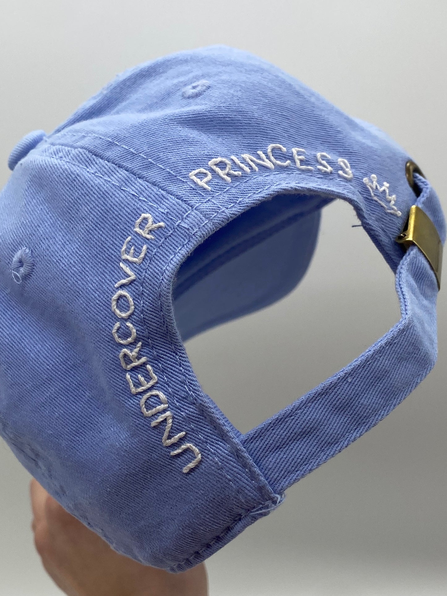 Undercover Princess: Cinderella Edition