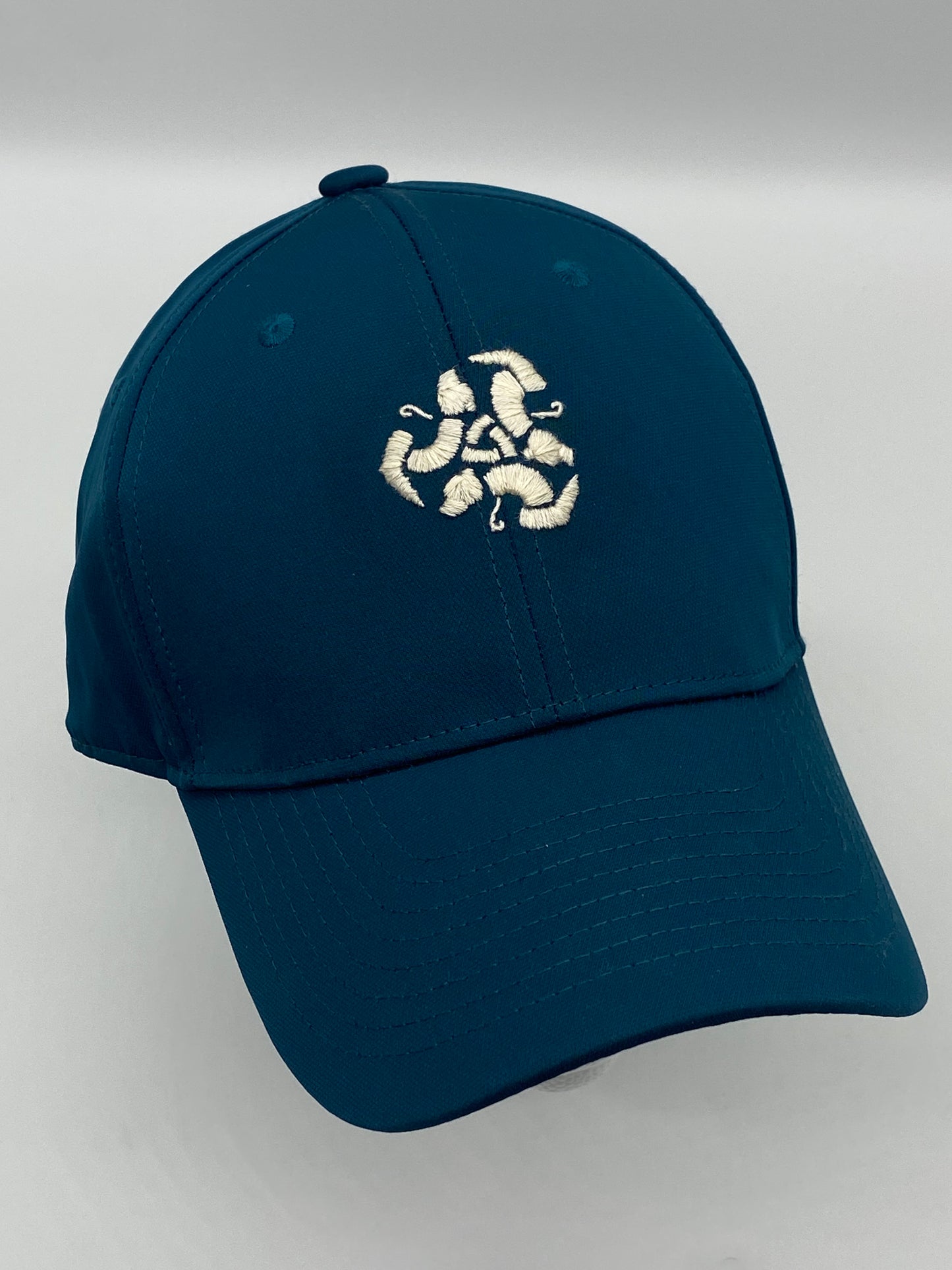 Undercover Princess: Scottish Edition