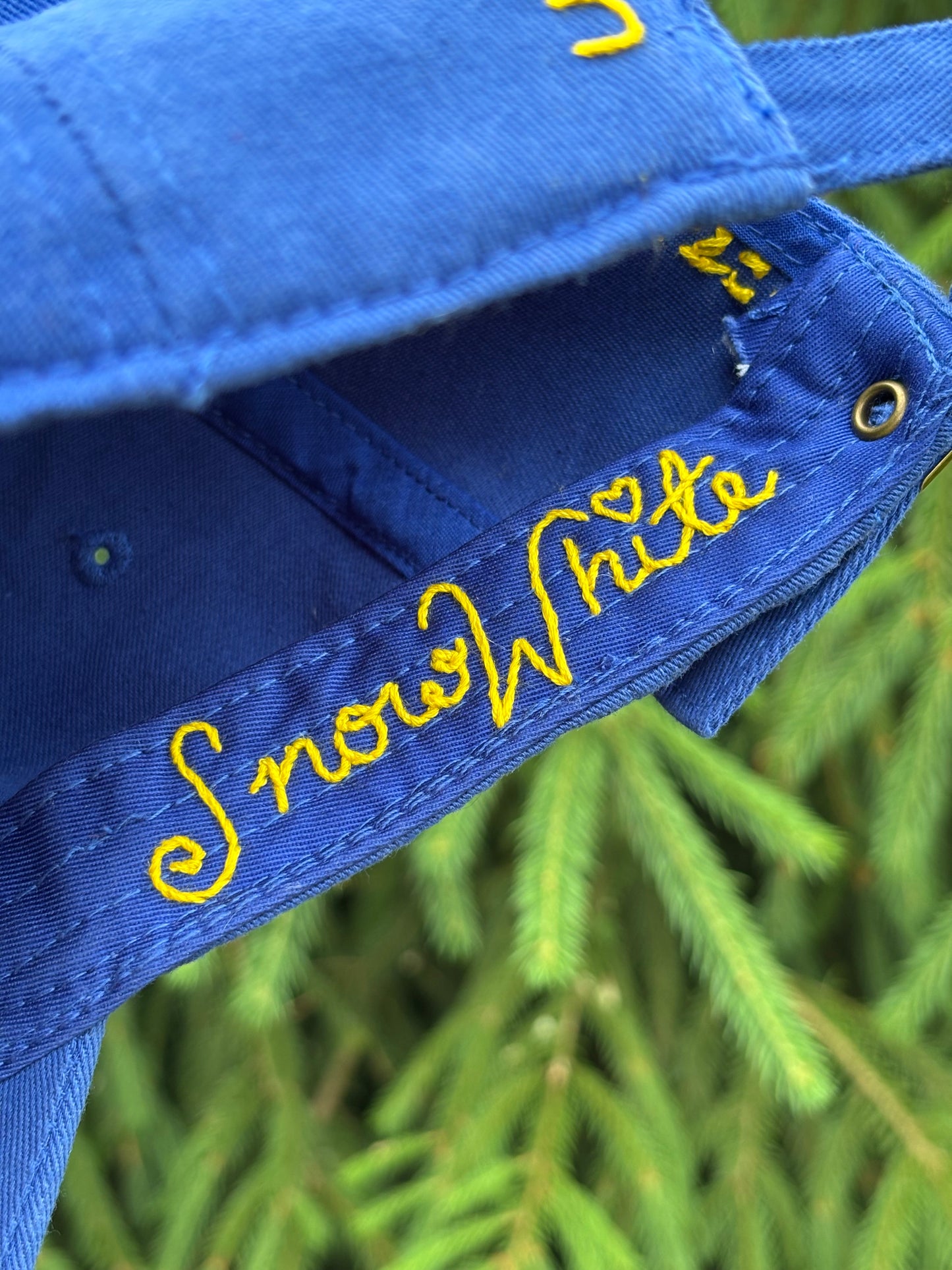 Undercover Princess: Fairest Edition