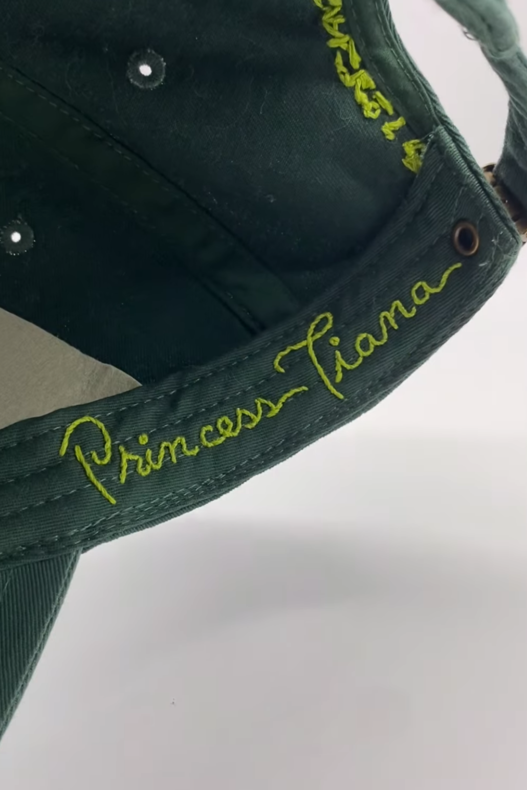 Undercover Princess: Bayou Edition