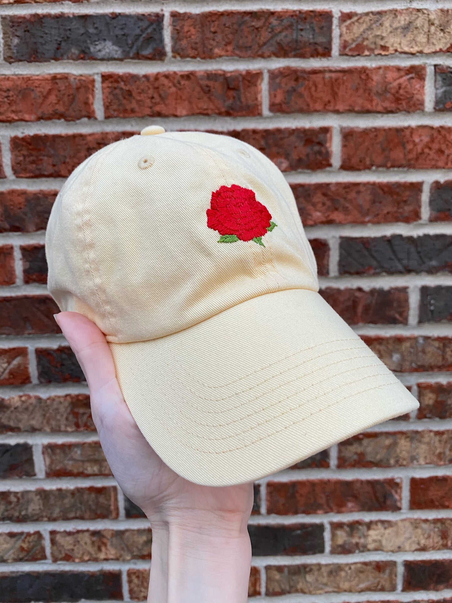 Undercover Princess: Bookworm Edition